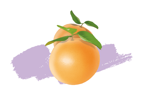 Huile essentielle de pamplemousse, Citrus paradisii, Aromathérapie